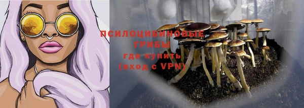 трава Каменногорск