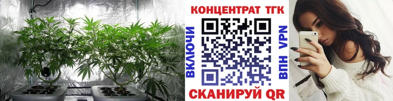 ТГК Wax Новошахтинск